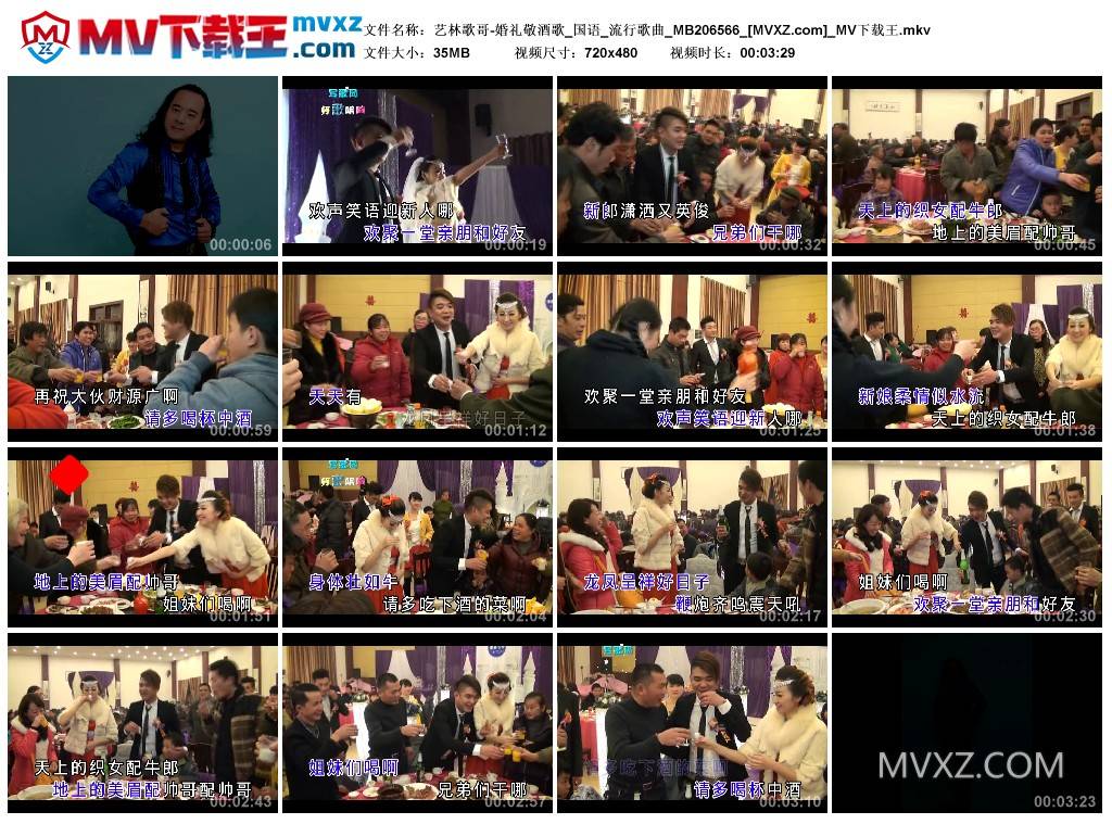 艺林歌哥-婚礼敬酒歌_国语_流行歌曲_MB206566